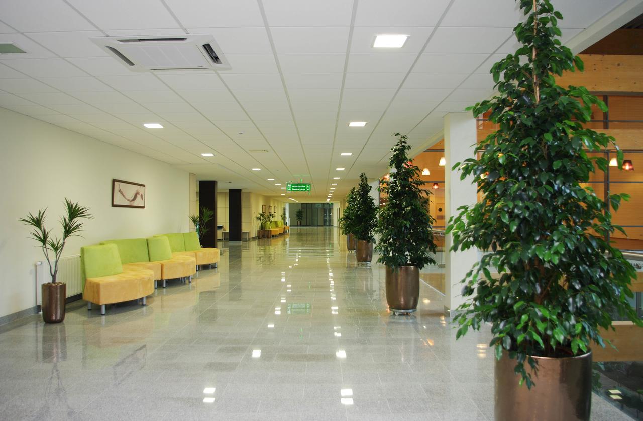 Medical Spa "Egles Sanatorija" Comfort Друскининкай Экстерьер фото